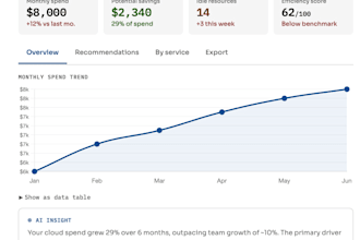 audit and optimize AWS cloud costs