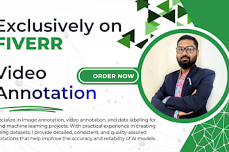 provide accurate video annotation and data labelling for ai