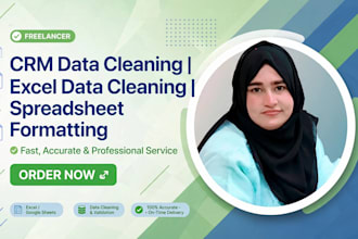 do CRM data cleanup, excel data cleaning and spreadsheet formatting