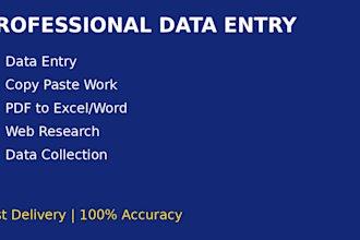 do accurate data entry, excel data entry, and web research