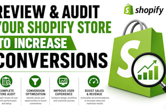 professionally review and audit your shopify store to increase conversions