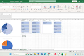 create a custom excel dashboard or financial tracker for you