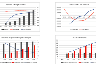 build a professional ecommerce financial model with dashboard