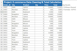 do excel data cleaning, formulas and sales analysis
