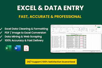 do excel data cleaning , formatting , xlookup , pivot tables
