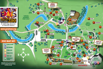 design a custom city map, vector street map, or layout illustration