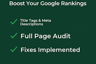 perform a professional SEO audit and fix for your small business website