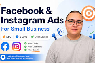 set up and run facebook or instagram ads for small businesses
