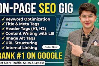 fix on page SEO issues and optimize your website