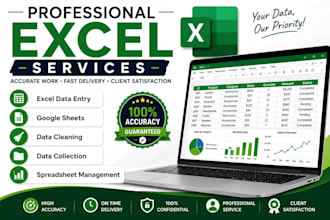 do excel data entry and spreadsheet work
