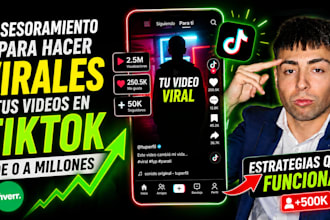 consultor de tiktok para hacer crecer tu cuenta