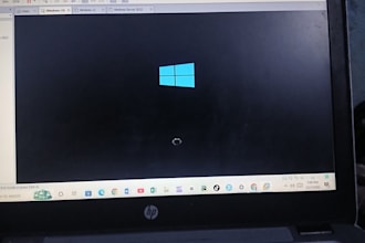 upgrade your PC to windows 11 professionally