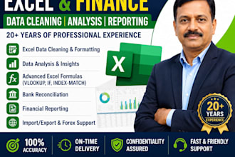 excel expert, bank reconciliation and edpms idpms expert
