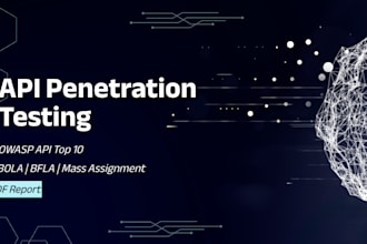 perform manual API penetration testing