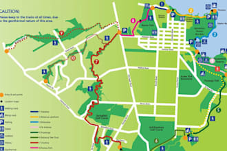 design a custom festival map, tourism map, or vector city illustratio