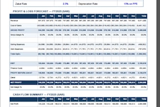 be your virtual cfo and build financial systems for your startup