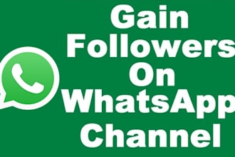 get 50k whatsapp followers with real whatsapp channel promotion