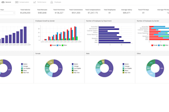 build automated excel dashboards and reports