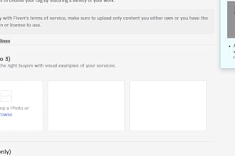 professional shopify expert and ecommerce expert