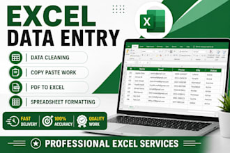 do excel data entry