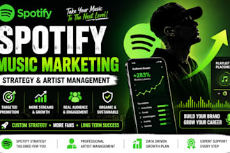create a professional spotify music marketing strategy and artist management