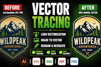 do professional vector tracing, logo vectorization, and redraw manually