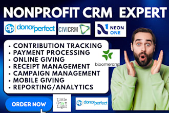 setup nonprofit CRM bloomerang neon donorperfect little green light civicrm