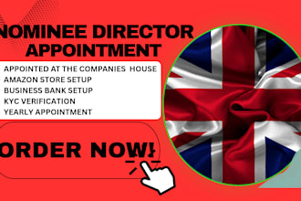 provide professional UK nominee director services