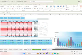 excel data entry, data cleaning, formatting and data merging