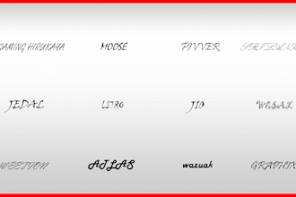 design signature,autograph and real handwritten logo