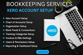 do the xero account setup