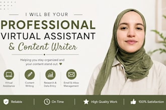be you professional virtual assistant and contant writer