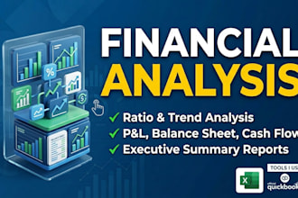 provide financial statements  analysis and corporate finance consulting