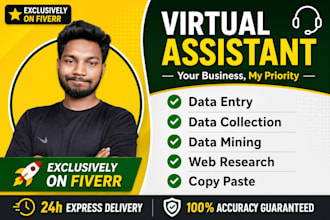 do data entry and copy paste job accurately
