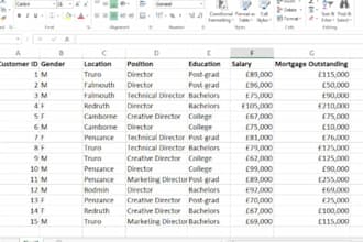 accurate and efficient business data entry services