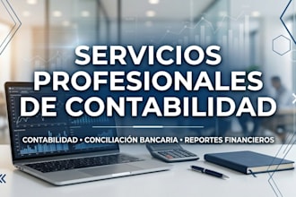 provide professional bookkeeping and accounting services