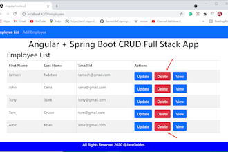 develop a full stack java angular web app