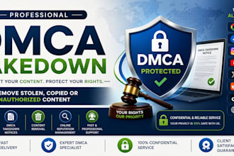 provide professional dmca takedown services