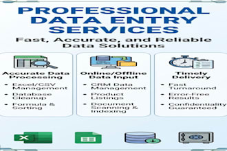 do accurate data entry, excel work, and PDF conversion