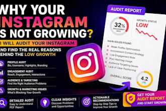 audit your instagram and find why your account is not growing