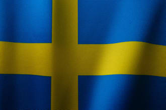 translate english to swedish as a native speaker