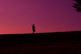 professionally color grade and edit your photos