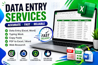 do data entry in microsoft excel accurately