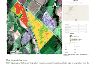 create a satellite ndvi vegetation and land analysis report