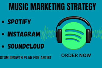 create a custom music marketing strategy for spotify instagram and soundcloud