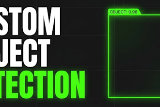 train and optimize a custom object detection model