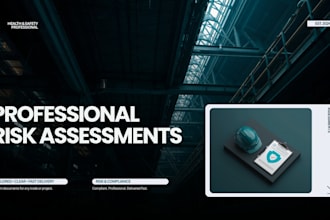 create a professional risk assessments
