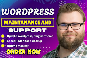 provide complete wordpress maintenance and support for your site