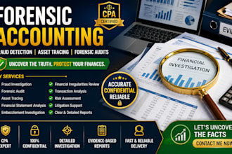 provide forensic accounting, fraud investigation and asset tracing