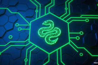 do python web scraping and custom website data collection